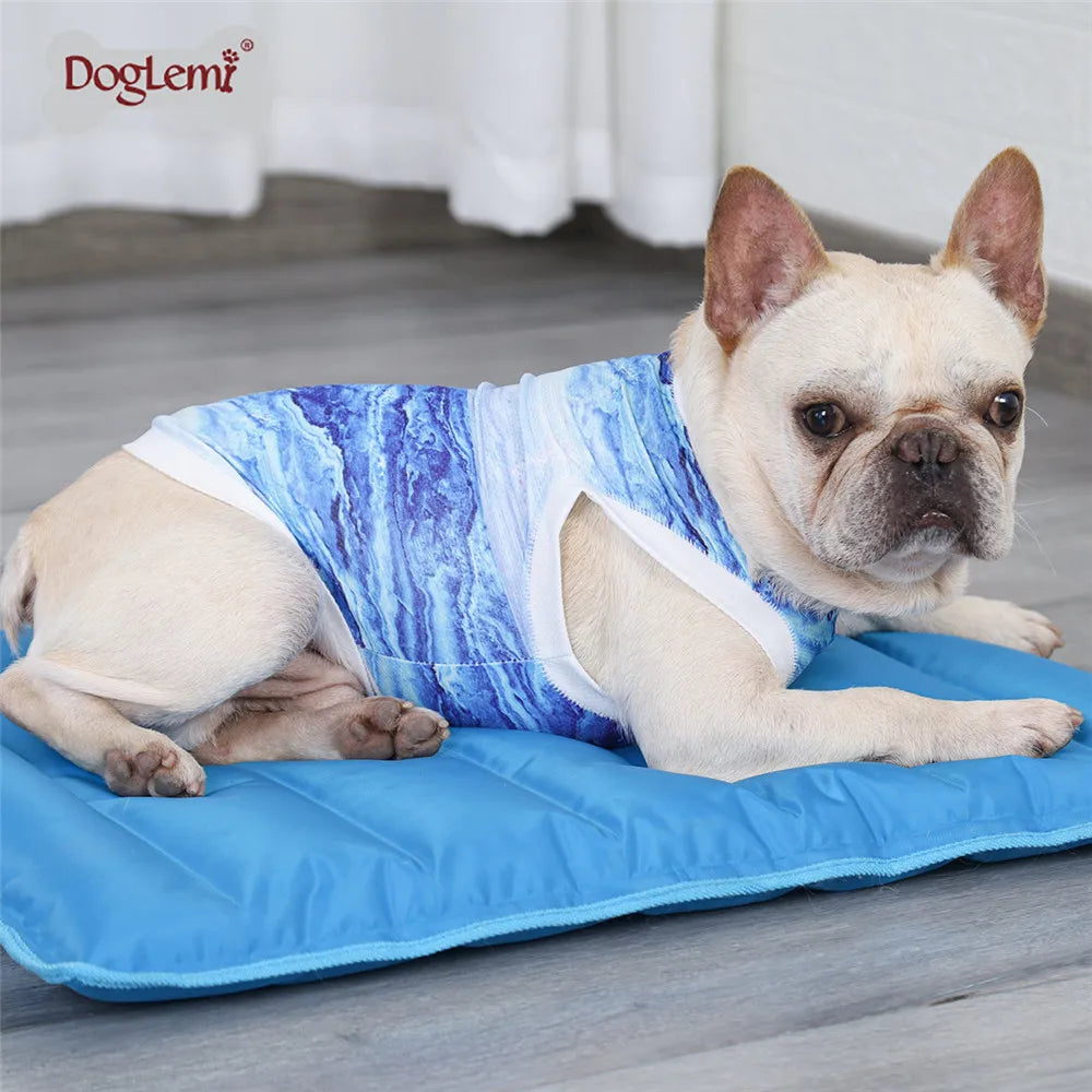 PawChill™ Summer Dog Cooling Vest
