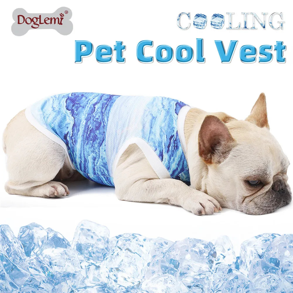 PawChill™ Summer Dog Cooling Vest