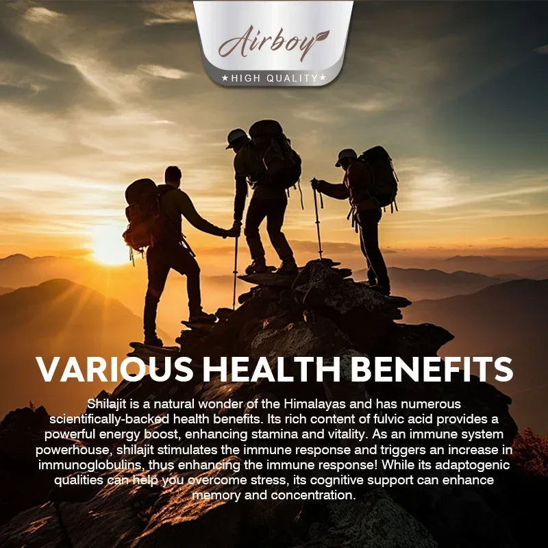 Shilajit & Ginseng Supplements - Enhance Nutrient Absorption and Promote Detoxificatione Endurance, Muscle Growth
