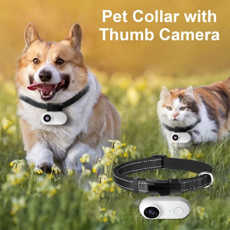 Pet Camera Collar - Outdoor Monitoring & Training Dog Camera with Wide Angle Lens